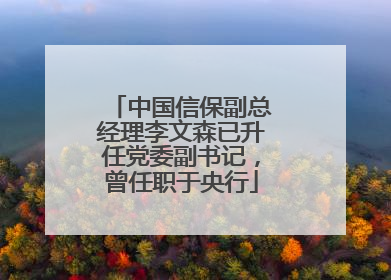 中国信保副总经理李文森已升任党委副书记，曾任职于央行
