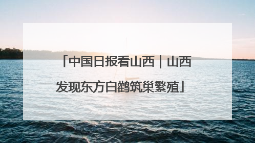 中国日报看山西｜山西发现东方白鹳筑巢繁殖