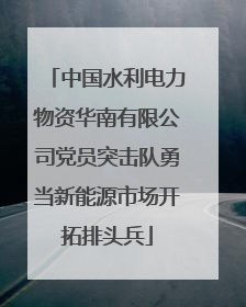中国水利电力物资华南有限公司党员突击队勇当新能源市场开拓排头兵