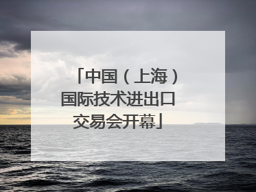 中国（上海）国际技术进出口交易会开幕