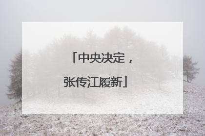 中央决定，张传江履新