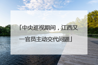中央巡视期间，江西又一官员主动交代问题