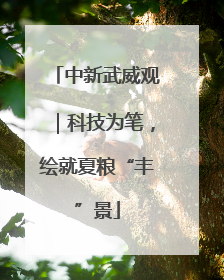 中新武威观｜科技为笔，绘就夏粮“丰”景