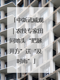 中新武威观｜农技专家田间地头“把脉开方”送“及时雨”