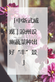 中新武威观｜凉州设施蔬菜种出好“丰”景