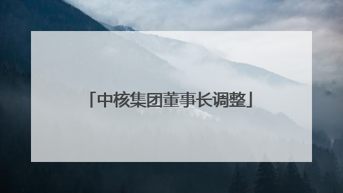 中核集团董事长调整