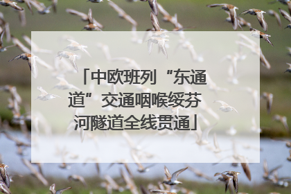 中欧班列“东通道”交通咽喉绥芬河隧道全线贯通