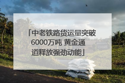 中老铁路货运量突破6000万吨 黄金通道释放强劲动能