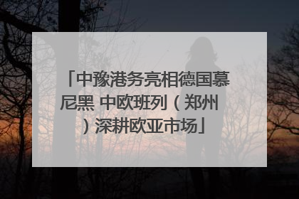 中豫港务亮相德国慕尼黑 中欧班列（郑州）深耕欧亚市场