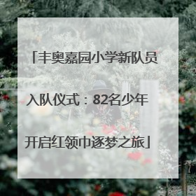 丰奥嘉园小学新队员入队仪式：82名少年开启红领巾逐梦之旅