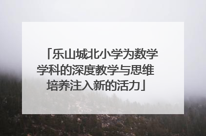 乐山城北小学为数学学科的深度教学与思维培养注入新的活力