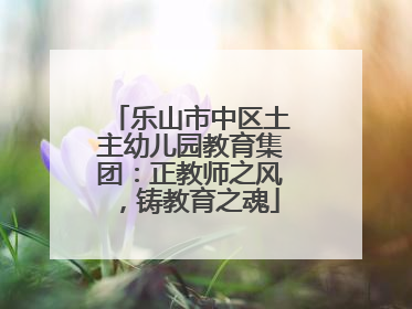 乐山市中区土主幼儿园教育集团：正教师之风，铸教育之魂