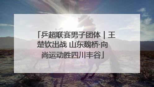 乒超联赛男子团体｜王楚钦出战 山东魏桥·向尚运动胜四川丰谷