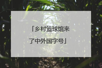 乡村篮球馆来了中外国字号