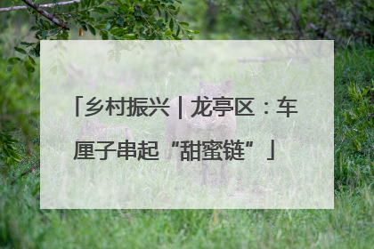 乡村振兴｜龙亭区：车厘子串起“甜蜜链”