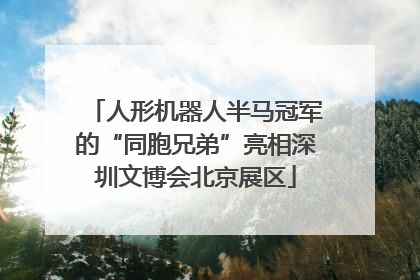 人形机器人半马冠军的“同胞兄弟”亮相深圳文博会北京展区