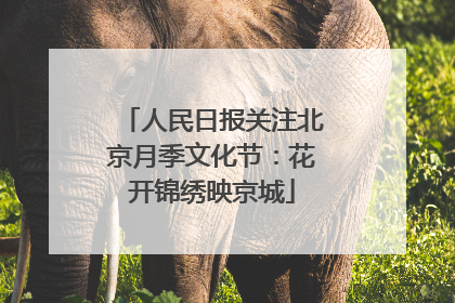 人民日报关注北京月季文化节：花开锦绣映京城