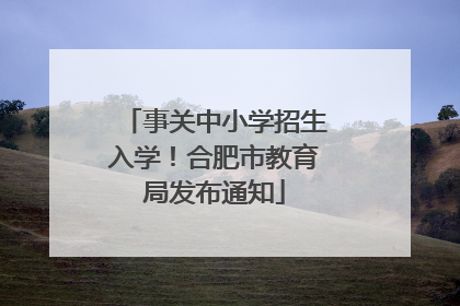 事关中小学招生入学！合肥市教育局发布通知