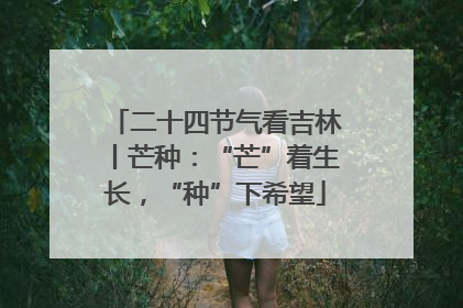 二十四节气看吉林丨芒种：“芒”着生长，“种”下希望