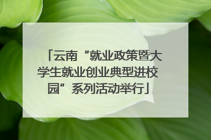 云南“就业政策暨大学生就业创业典型进校园”系列活动举行