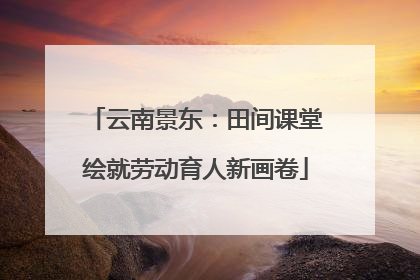云南景东：田间课堂绘就劳动育人新画卷