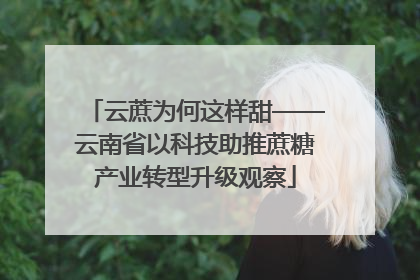 云蔗为何这样甜——云南省以科技助推蔗糖产业转型升级观察
