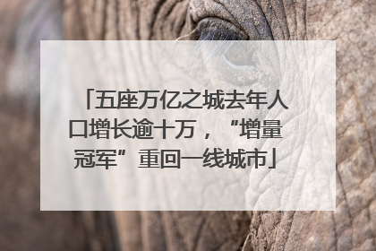 五座万亿之城去年人口增长逾十万，“增量冠军”重回一线城市