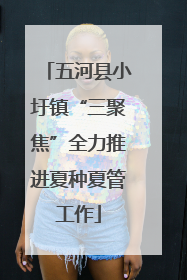 五河县小圩镇“三聚焦”全力推进夏种夏管工作