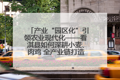 产业“园区化”引领农业现代化——看淇县如何深耕小麦、肉鸡 全产业链打造现代农业产业园