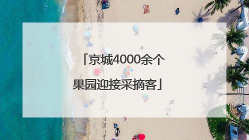 京城4000余个果园迎接采摘客