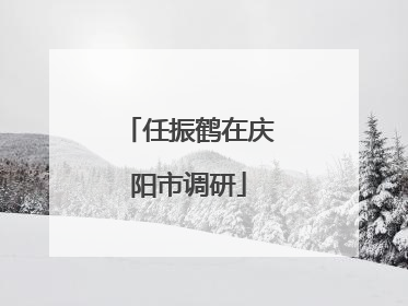 任振鹤在庆阳市调研