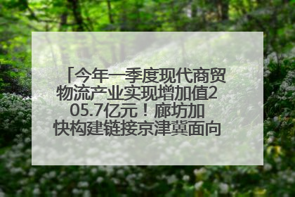 今年一季度现代商贸物流产业实现增加值205.7亿元！廊坊加快构建链接京津冀面向全世界的物流通道