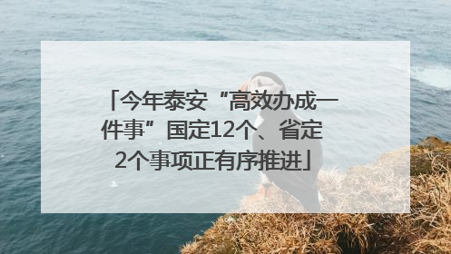 今年泰安“高效办成一件事”国定12个、省定2个事项正有序推进