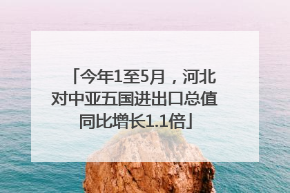 今年1至5月，河北对中亚五国进出口总值同比增长1.1倍