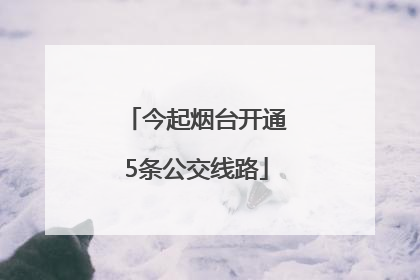 今起烟台开通5条公交线路