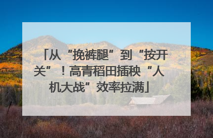 从“挽裤腿”到“按开关”！高青稻田插秧“人机大战”效率拉满