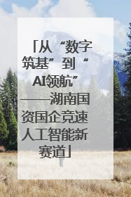 从“数字筑基”到“AI领航”——湖南国资国企竞速人工智能新赛道