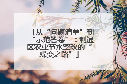 从“问题清单”到“示范答卷”：利通区农业节水整改的“蝶变之路”