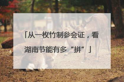从一枚竹制参会证，看湖南节能有多“拼”