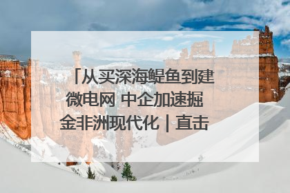 从买深海鳀鱼到建微电网 中企加速掘金非洲现代化｜直击中非经贸博览会