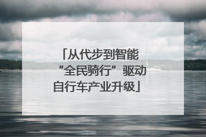 从代步到智能 “全民骑行”驱动自行车产业升级