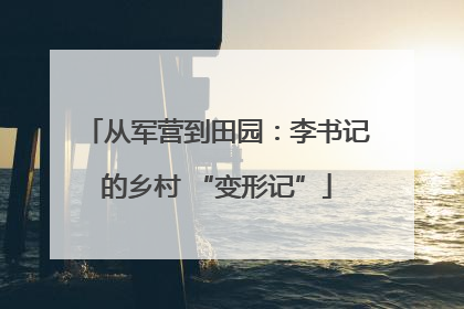 从军营到田园：李书记的乡村 “变形记”