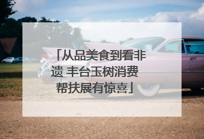 从品美食到看非遗 丰台玉树消费帮扶展有惊喜