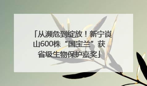 从濒危到绽放！新宁崀山600株“国宝兰”获省级生物保护嘉奖
