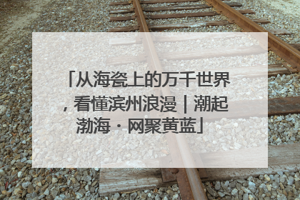 从海瓷上的万千世界，看懂滨州浪漫｜潮起渤海・网聚黄蓝