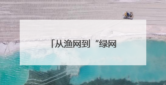 从渔网到“绿网”，蔡甸桐湖网住绿色生态经济