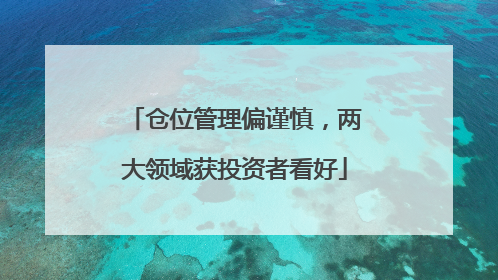 仓位管理偏谨慎，两大领域获投资者看好