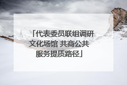代表委员联组调研文化场馆 共商公共服务提质路径