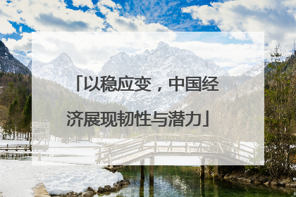 以稳应变,中国经济展现韧性与潜力