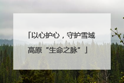 以心护心，守护雪域高原“生命之脉”